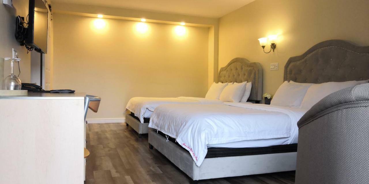 Motel Des Pays D'En Haut Val-David Esterno foto